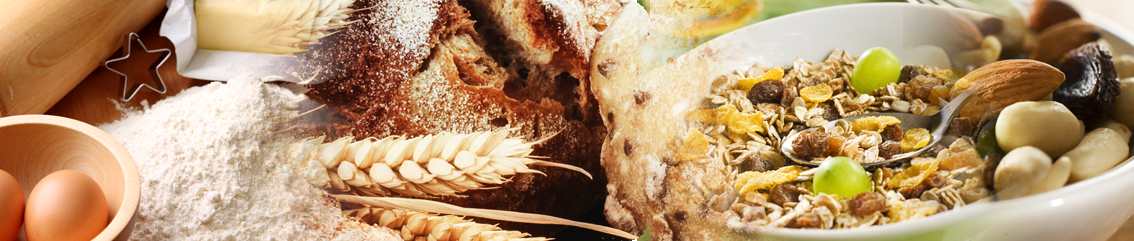 food_banner