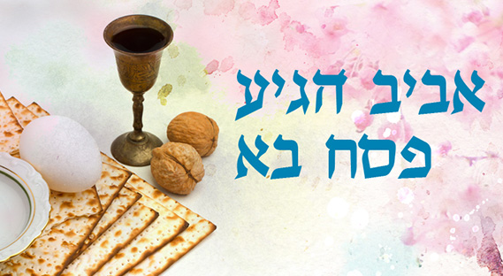 פסח עמוד ראשי פסח